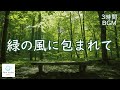 緑の風に包まれて ─ チェロとピアノ【 3時間BGM 】Gentle Cello & Piano in the Green Breeze