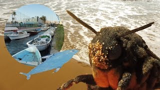 Ruta Cala Reona-Calblanque, y después a La Manga