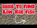 HOW TO Find LOW TIDE Inshore FISH - Tampa Bay Fishing