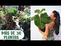 PERDÍ LA CABEZA COMPRANDO PLANTAS: Las nuevas bellezas que se suman al jardín │Candy Bu