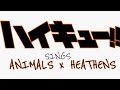 Haikyuu Sings Animals X Heathens.