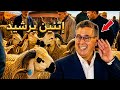 سوق إتنين برشيد شوفو درويش أش قال على تمن الحولي اليوم 4 ماي 2026