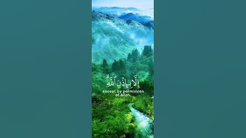 ﴿ مَا أَصَابَ مِنْ مُصِيبَةٍ إِلَّا بِإِذْنِ اللَّهِ (11) ﴾- سورة التغابن