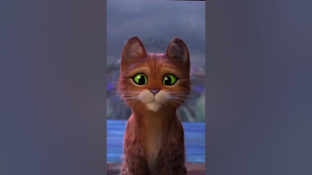 PERRITO DE GATO DE BOTAS 2 FORA DE SHREK 5 #gatodebotas2 #shrek