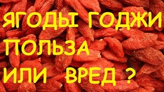 видео Польза и вред ягоды годжи, как их принимать?