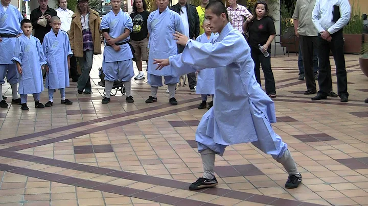 Shi Yan Hong performs Rou Quan at Shaolin Movie Premiere in Hollywood 09/09/2011