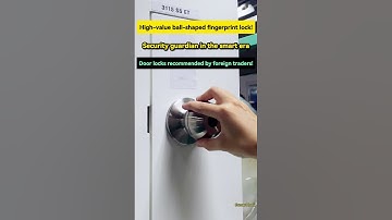 High Quality Smart Lock Digital Fingerprint Lock With  Tuya App