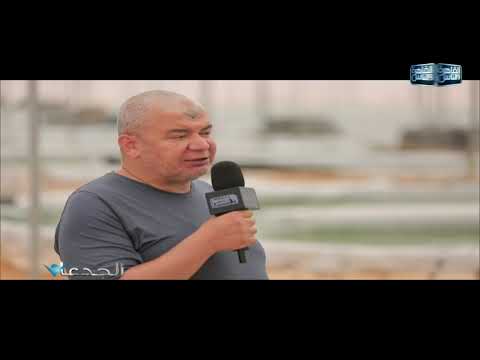 م حاتم الكومي ترخيص 12 منتج من طحالب الاسبيرولينا خلال 5 أشهر