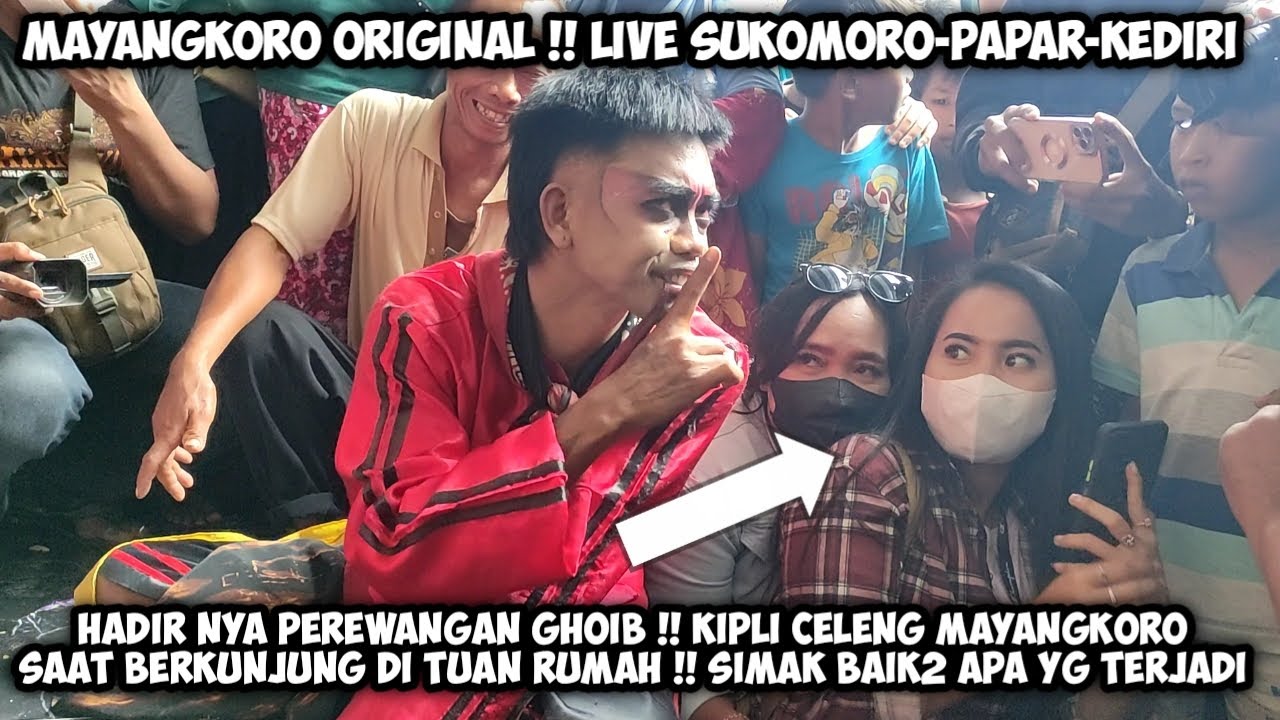 Hadirnya Perewangan KIPLI CELENG MAYANGKORO ORIGINAL Saat Sowan Di Tuan Rumah ❗Live Sukomoro Papar