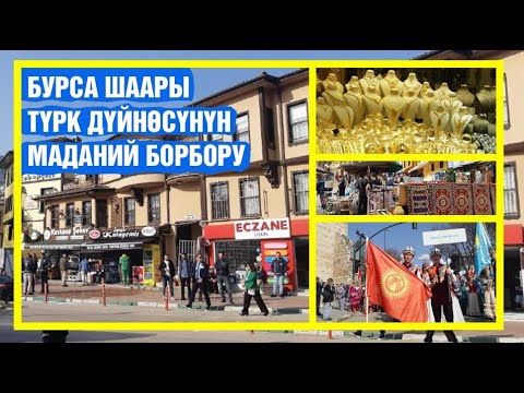 Video: Курулуш уюмунун генеральный долбоору
