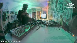 картинка: Papa Srapa - Yawning Heights @ Стримообразные // 2025-02-20