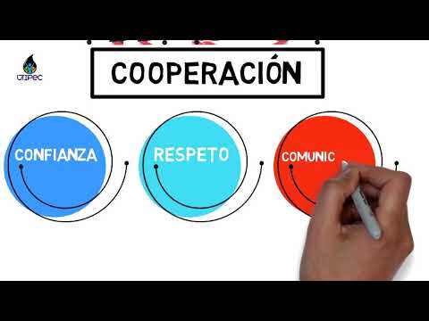 Video: ¿Por qué es importante la cooperación en el trabajo?