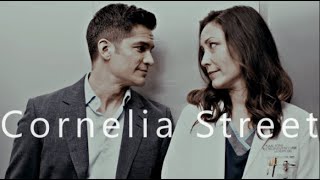 Neil & Audrey - Cornelia Street [The Good Doctor 5x14]