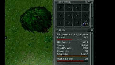 Tibia Simple Keylogger 8.31