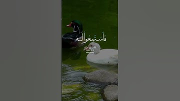 Surah A'raf | سورة الأعراف | #abdulrehmanmasood #abdulrehmanmossad #abdulrehmanofficial #suraharaf
