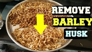 How To DE HULL BARLEY/Remove HUSK From Barley/Easy Way To Remove Hull/Husk Of Barley