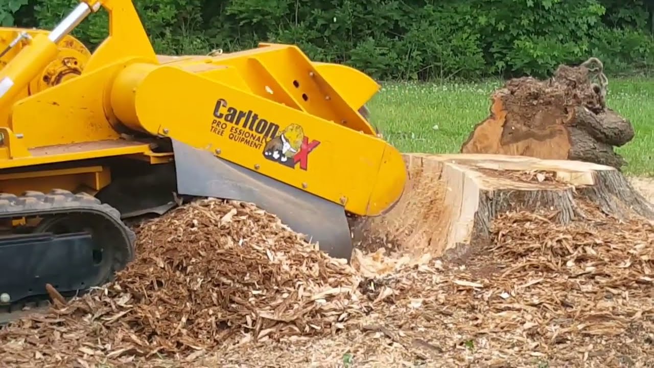 КОРЧЕВАНИЕ ПНЕЙ ТЯЖЕЛОЙ ТЕХНИКОЙ - YouTube