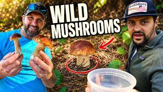 Mushroom Hunting on the Northern California Coast 🍄 | Porcinis for Pizza with Chef Degen 🍕