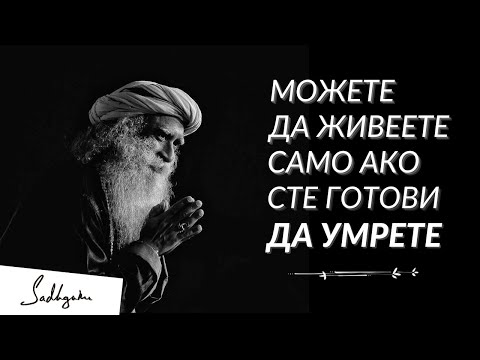 Видео: Как да се държите, ако отивате в командировка с шефа си