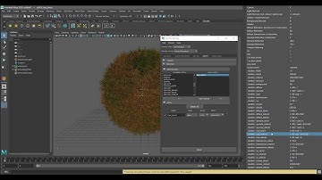 Arnold 5.2 mtoa Custom Hair AOV