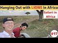 Wildlife SAFARI in AFRICA (Tanzania) by Our Own