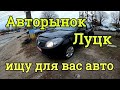 Авторынок Луцк, стоит ли ехать в воскресенье? обзор цен, ноябрь 2021.