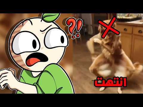 ما راح تقدر تصنع مقاطع كلاب ترقص بعد اليوم 😂! | آخر الأخبار التقنية