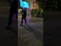 Zoo comes alive with a mesmerizing light show.#reel #reels #shorts #short #viralvideo