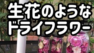 生花の様なドライフラワーの作り方