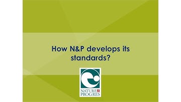 M2: How N&P develops its standarts?