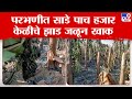 Parbhani Banana Tree Fire | परभणीत साडे पाच हजार केळीचे झाड जळून खाक | tv9 Marathi