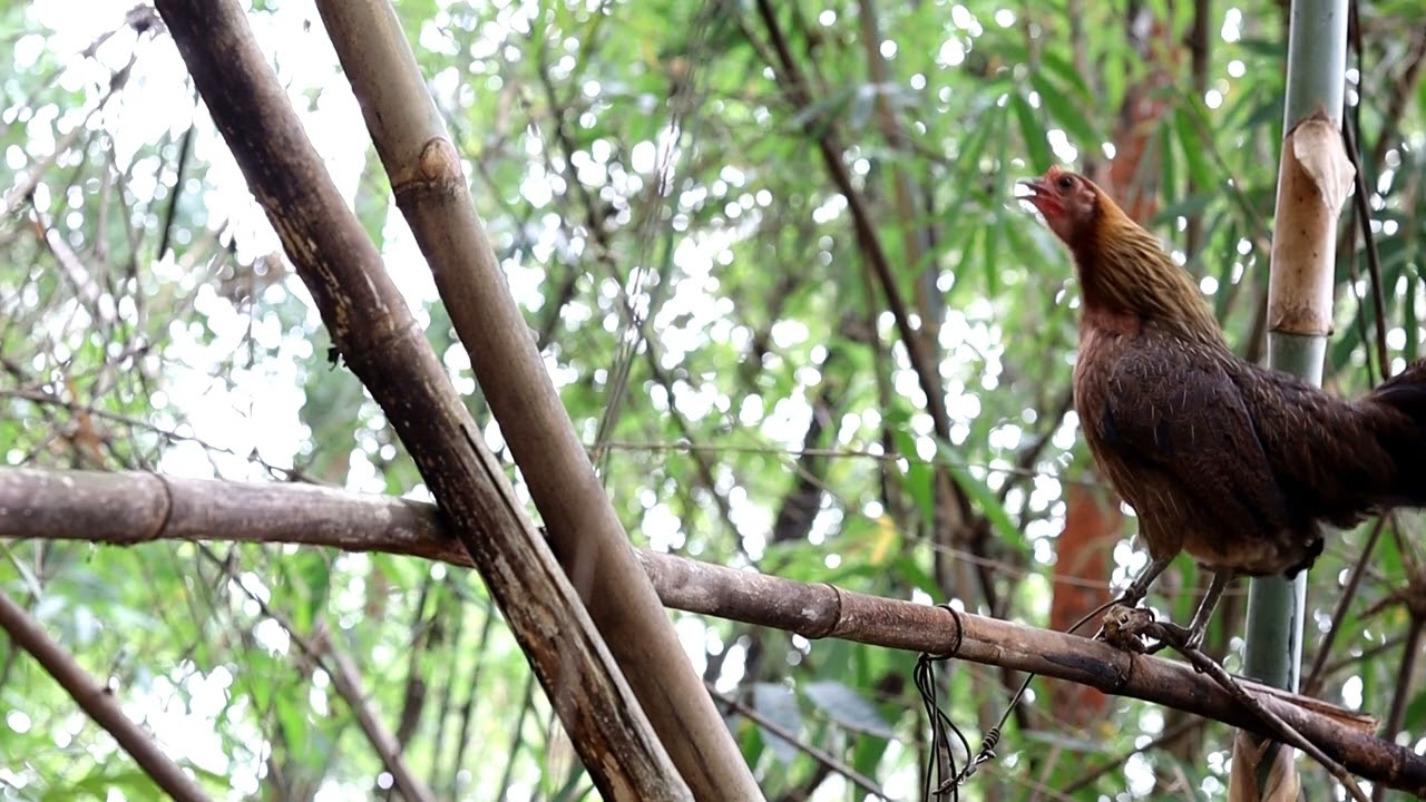 3 ธันวาคม ค.ศ. 2023