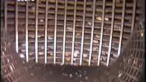 Borehole Video Inspection of Water Well Screen