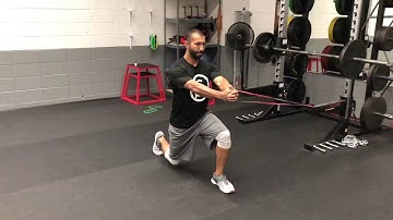 BD - Iso Split Squat Anti-rotation