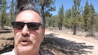 Holcomb Valley Gold Rush remains Big Bear, CA