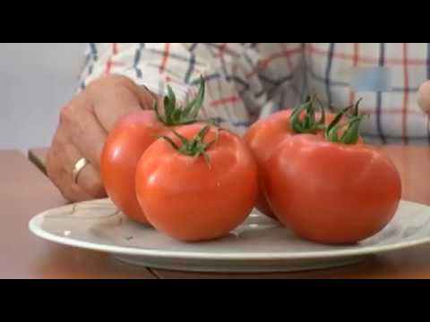 [VIDEO] Turkish farmers protest Russian import restrictions by eating tomatoes