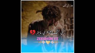 Urdo Shero Shayari status// Zeeshan.. YT