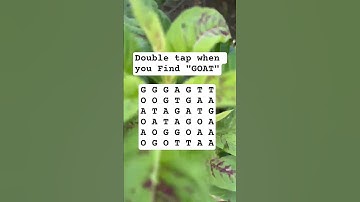 Observation Visual Test: 5 Seconds For You To Spot GOAT . Try Your Skills!   #puzzle #shorts