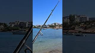 ψάρεμα? 🐠 #fishing #psarema #ψαρεμα #ψάρεμα #fish #fy #fyp #new #viral #greek #ψάρι #casting #hobby