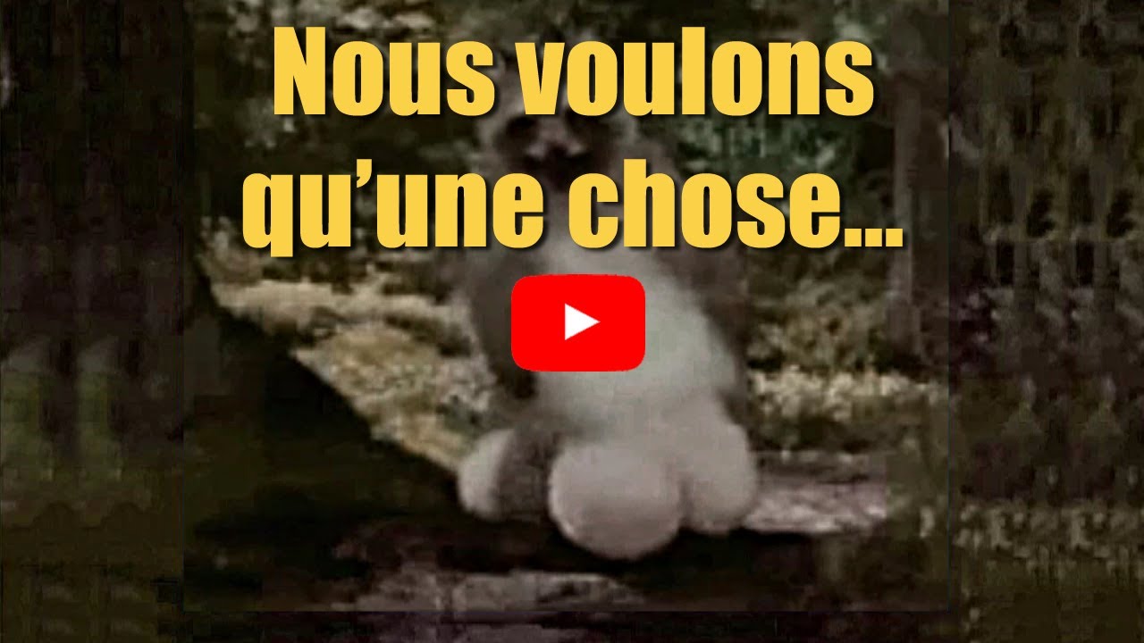 Nous voulons qu'une chose...