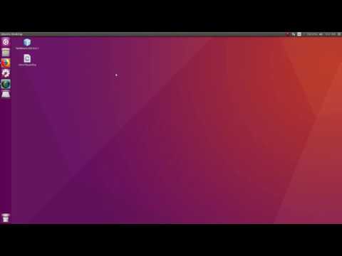 TCP Echo how to run