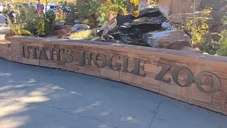 видео: Приезжайте с нами в зоопарк Хогл в Юте!! 🤗🫶 картинка: Приезжайте с нами в зоопарк Хогл в Юте!! 🤗🫶