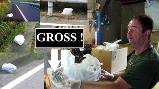 Disgusting A-holes in Japan !!