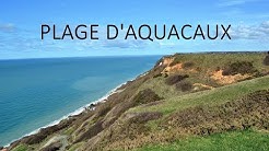 🐶 TOUTOU VADROUILLE :  EN NORMANDIE ♥ 🐾  - #1 Plage d'Aquacaux (Octeville-sur-Mer 76) (PART I)