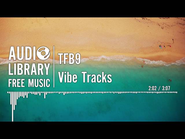 TFB9 - Vibe Tracks class=