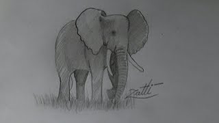 Como desenhar um Elefante  (método fácil)