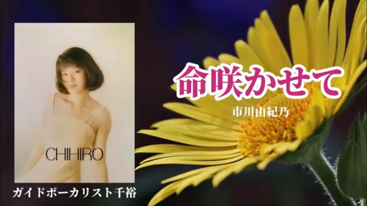 命咲かせて（市川由紀乃）、歌：ガイドボーカリスト千裕