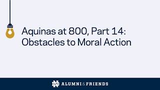 Aquinas at 800, Part 14: Obstacles to Moral Action
