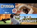 【保護猫】何があっても命を捨てるな/久々に行ったら変化あり過ぎた