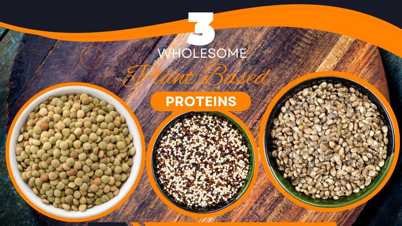 3 Plant Based Proteins Everything you need to know about Lentils